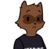 the_unknown_raccoon