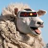 sheepythebott