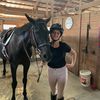 horses..and...me