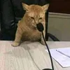 smwhrscrt