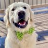barkleynfriends