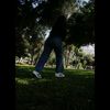 dianella_04