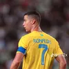 sayfsami