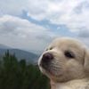 user7ueju58r8i