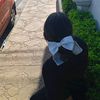 _eli_sa12