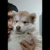 ahmedof__