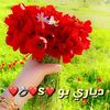k.kurdstan