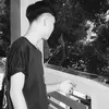nliemm31_