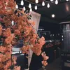 noura911990