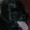 babeaibranx