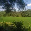 nazwaaleshaz