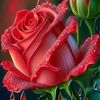 elly2381
