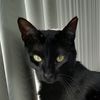 blacky_giorgio