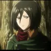 _wife.of.mikasa_