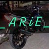 arie_berau