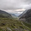 will_thornett