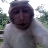 nig_494