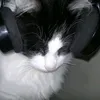 t_touu