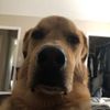 thatredeyejedi