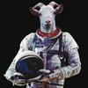 ltspacegoat