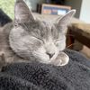 graygrayg