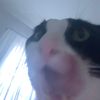 lil_critter23