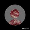 shaima_andi