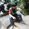 hohung037
