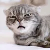 whatareyoulookingathahh