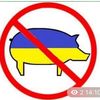 vladuk24kk