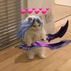 markizgg