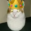 eggcatkingnumber1