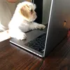 agieychew