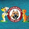 veterinaria.san.jo