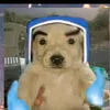 elpaticojuan