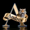 andreandrescm