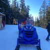 ionut2389