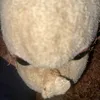 abby_cockingxo