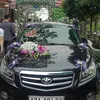 phong.v8971