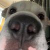 peaches0407