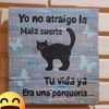 .princedvr