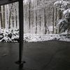 michael_m.7