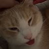 reeses_pieces2222