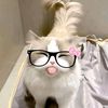 aurorajasmine.14