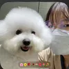 tvydthquodio
