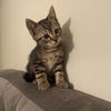 miawww____