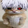 paporotnicheck