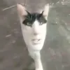 abaciao