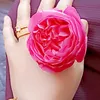user3lxss8dwhn