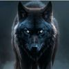 step_wolf888